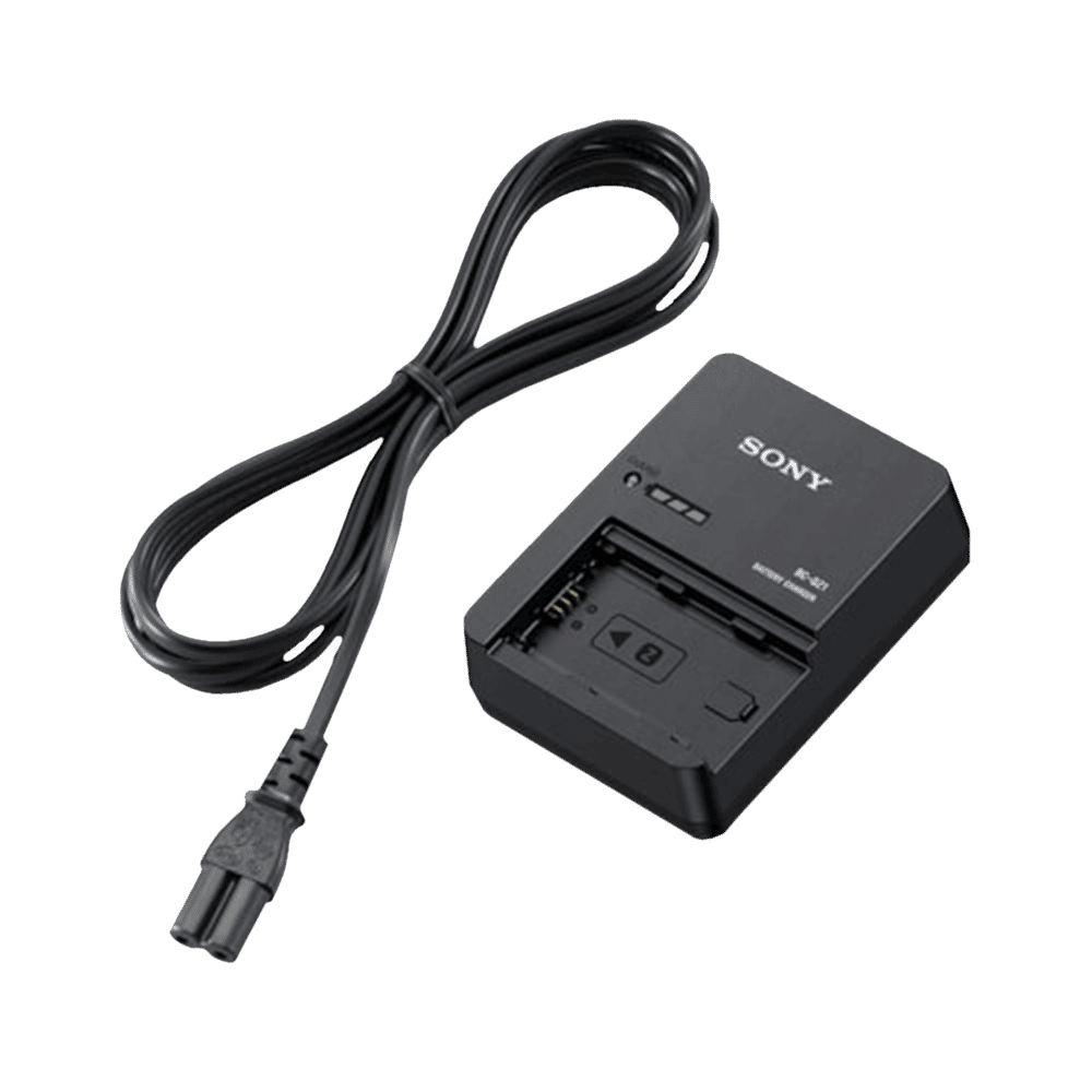 Buy SONY BC-QZ1 Camera Battery Charger for NP-FZ100 Online - Croma